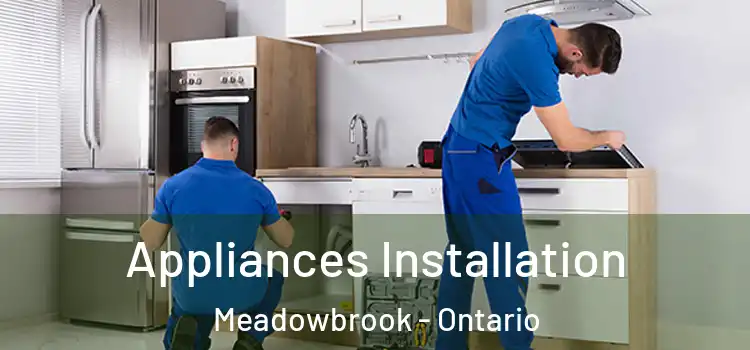 Appliances Installation Meadowbrook - Ontario