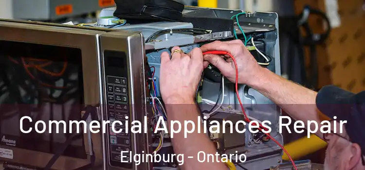Commercial Appliances Repair Elginburg - Ontario
