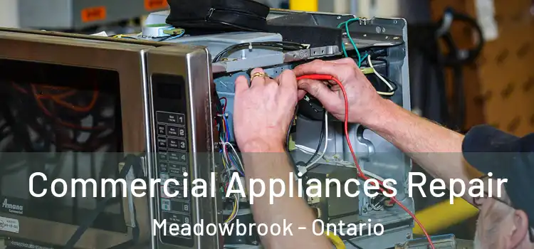 Commercial Appliances Repair Meadowbrook - Ontario