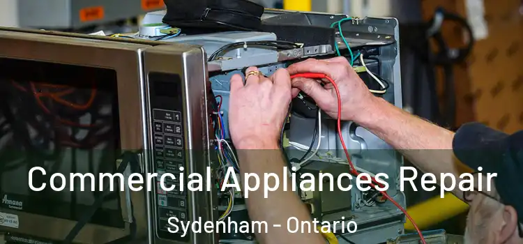 Commercial Appliances Repair Sydenham - Ontario