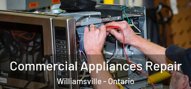 Commercial Appliances Repair Williamsville - Ontario