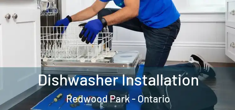 Dishwasher Installation Redwood Park - Ontario