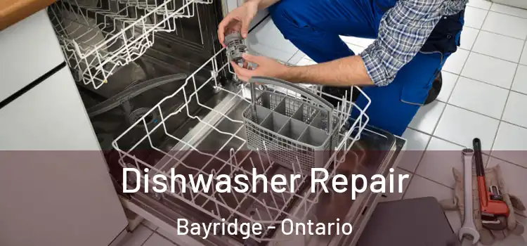 Dishwasher Repair Bayridge - Ontario