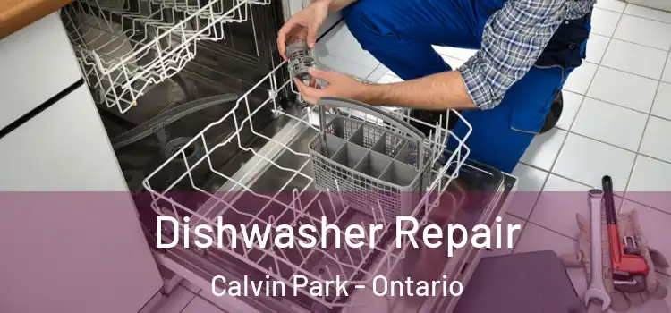Dishwasher Repair Calvin Park - Ontario