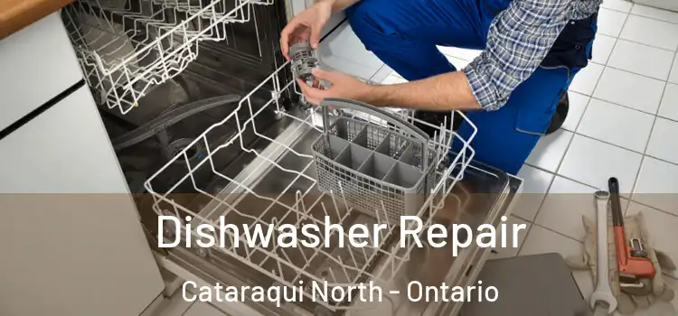 Dishwasher Repair Cataraqui North - Ontario