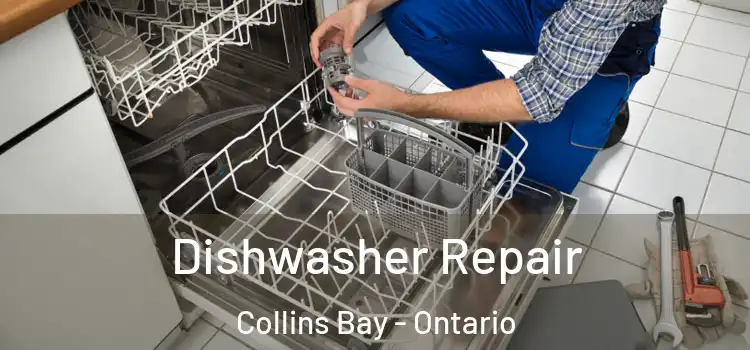 Dishwasher Repair Collins Bay - Ontario