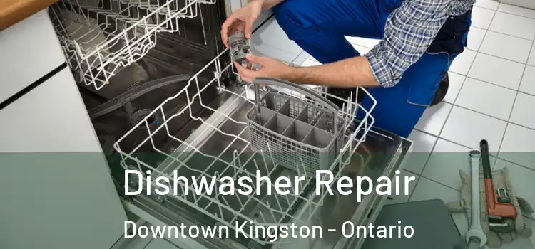 Dishwasher Repair Downtown Kingston - Ontario