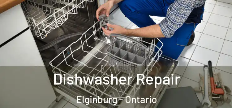 Dishwasher Repair Elginburg - Ontario