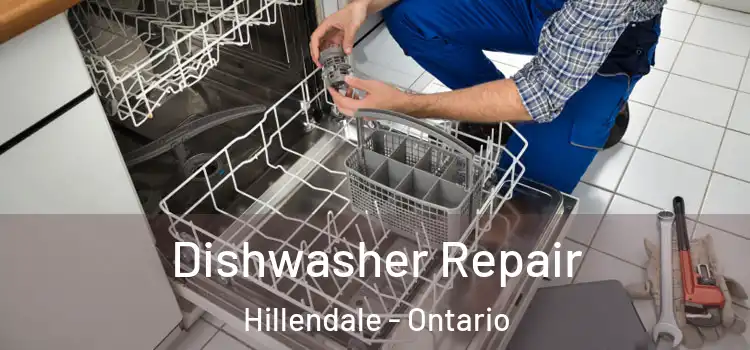 Dishwasher Repair Hillendale - Ontario