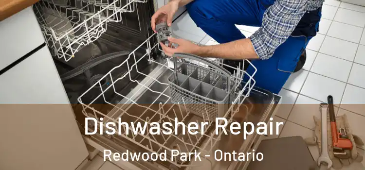 Dishwasher Repair Redwood Park - Ontario