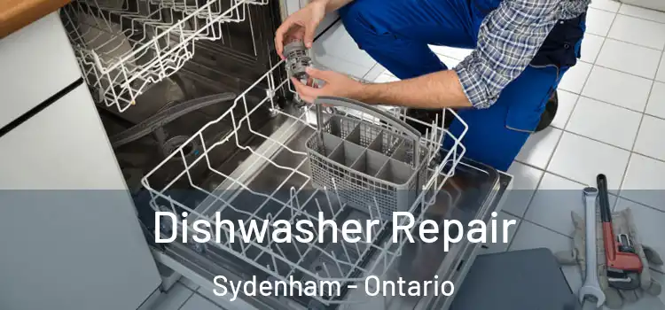 Dishwasher Repair Sydenham - Ontario