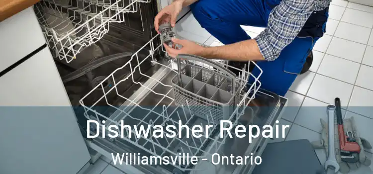 Dishwasher Repair Williamsville - Ontario
