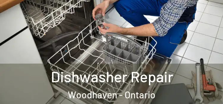 Dishwasher Repair Woodhaven - Ontario