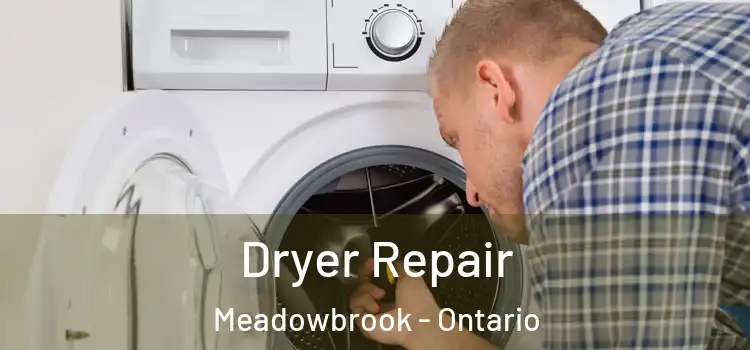 Dryer Repair Meadowbrook - Ontario