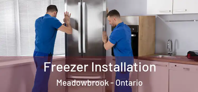 Freezer Installation Meadowbrook - Ontario