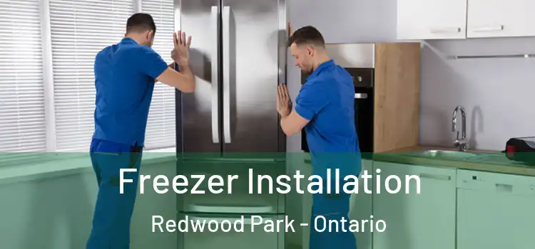 Freezer Installation Redwood Park - Ontario
