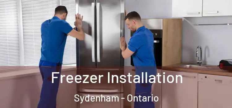 Freezer Installation Sydenham - Ontario