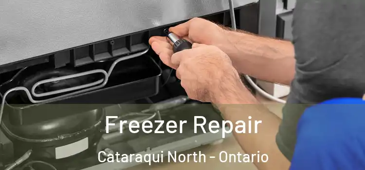 Freezer Repair Cataraqui North - Ontario