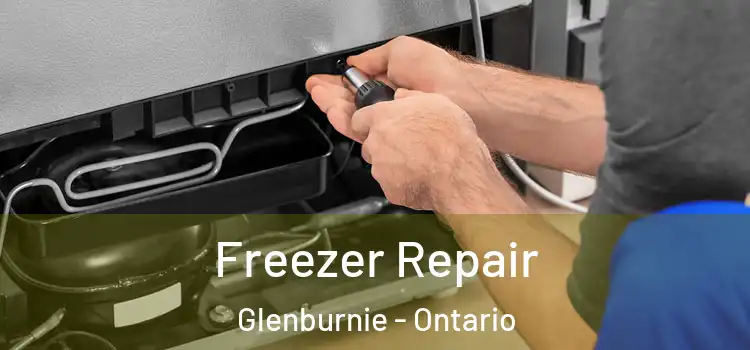 Freezer Repair Glenburnie - Ontario