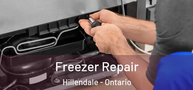 Freezer Repair Hillendale - Ontario