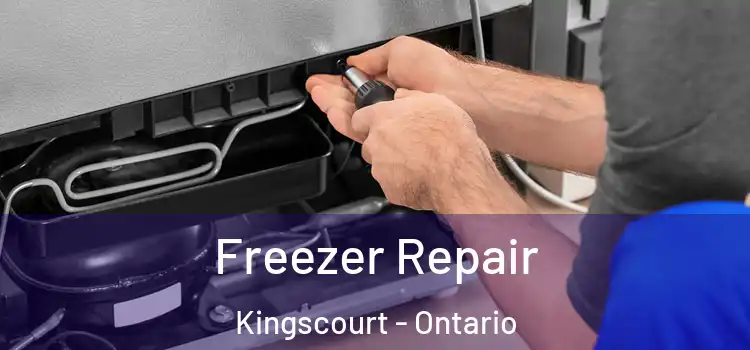 Freezer Repair Kingscourt - Ontario