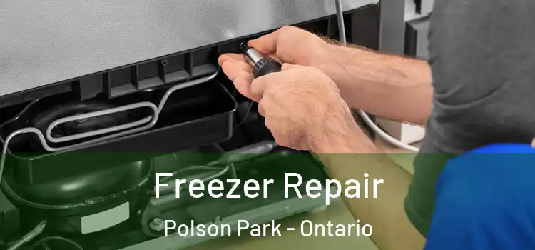 Freezer Repair Polson Park - Ontario