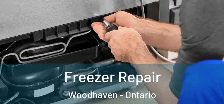 Freezer Repair Woodhaven - Ontario