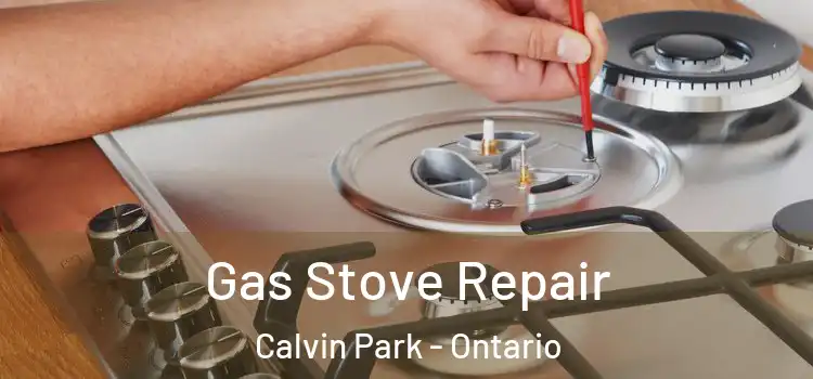 Gas Stove Repair Calvin Park - Ontario