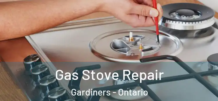 Gas Stove Repair Gardiners - Ontario