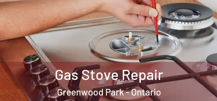 Gas Stove Repair Greenwood Park - Ontario