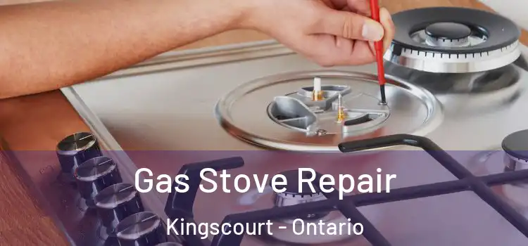 Gas Stove Repair Kingscourt - Ontario