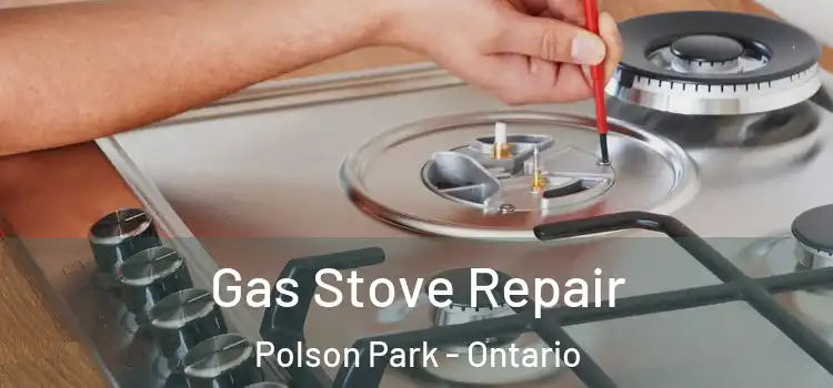 Gas Stove Repair Polson Park - Ontario