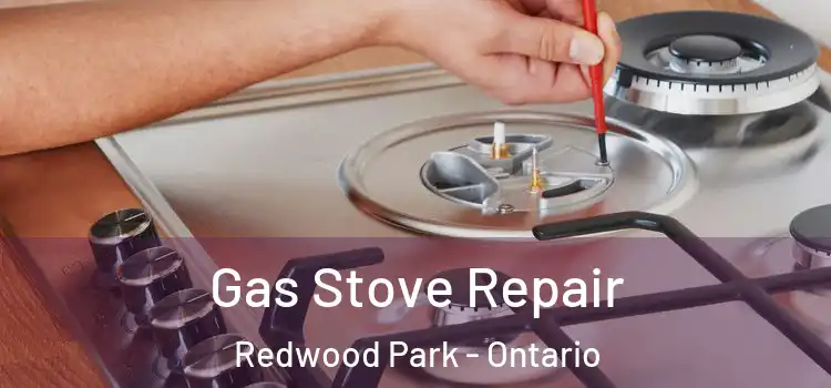 Gas Stove Repair Redwood Park - Ontario