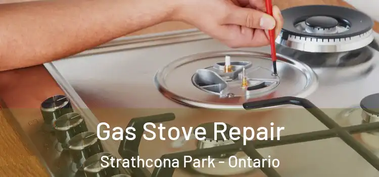 Gas Stove Repair Strathcona Park - Ontario