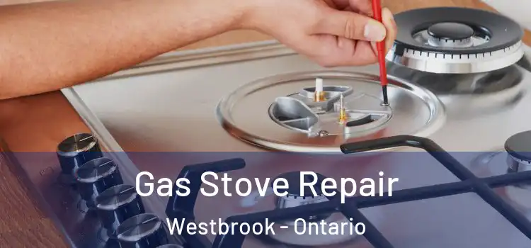Gas Stove Repair Westbrook - Ontario