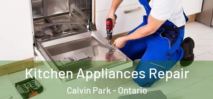 Kitchen Appliances Repair Calvin Park - Ontario