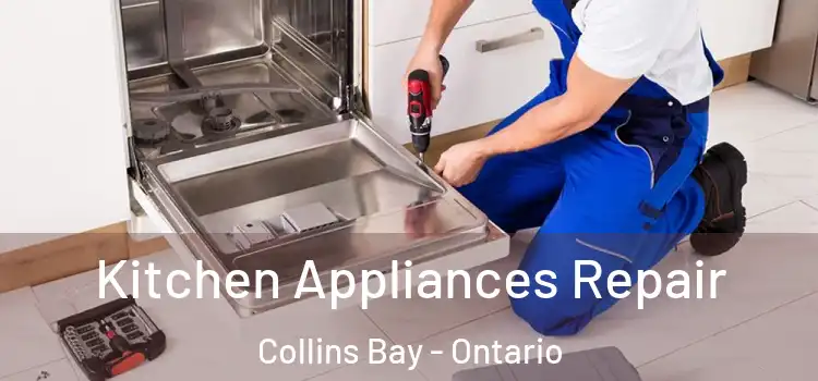 Kitchen Appliances Repair Collins Bay - Ontario