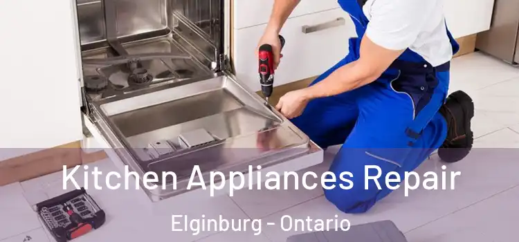 Kitchen Appliances Repair Elginburg - Ontario