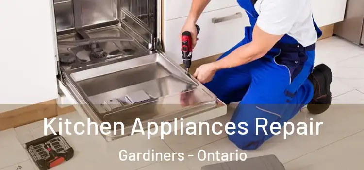 Kitchen Appliances Repair Gardiners - Ontario