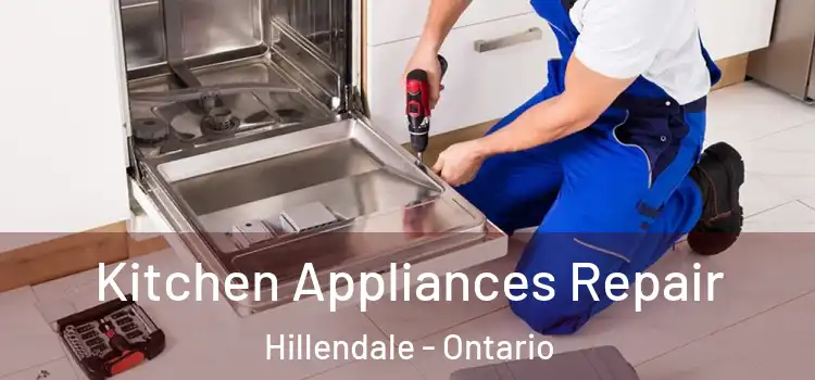 Kitchen Appliances Repair Hillendale - Ontario