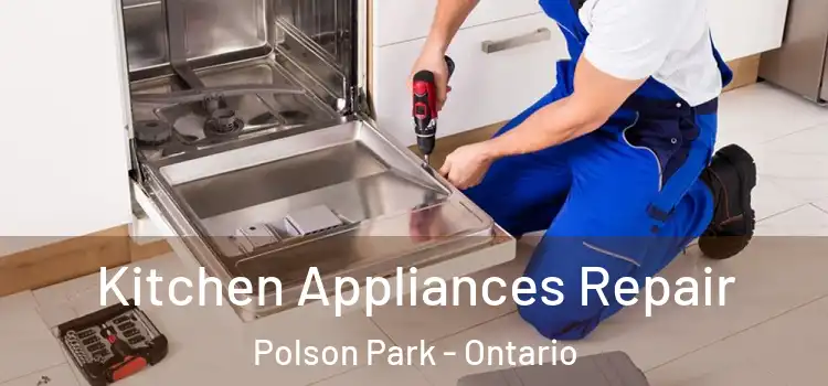 Kitchen Appliances Repair Polson Park - Ontario