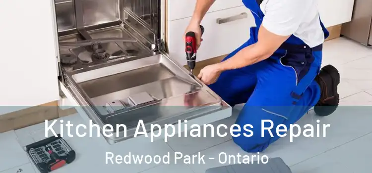 Kitchen Appliances Repair Redwood Park - Ontario