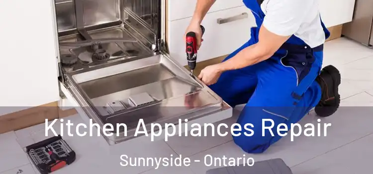 Kitchen Appliances Repair Sunnyside - Ontario