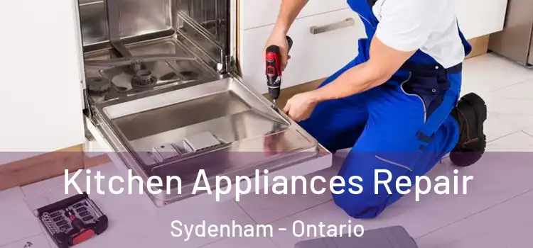 Kitchen Appliances Repair Sydenham - Ontario