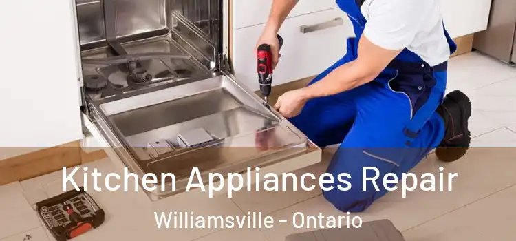Kitchen Appliances Repair Williamsville - Ontario