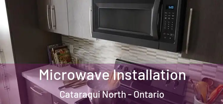 Microwave Installation Cataraqui North - Ontario