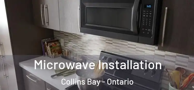 Microwave Installation Collins Bay - Ontario