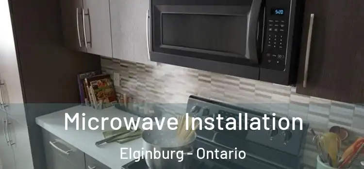 Microwave Installation Elginburg - Ontario