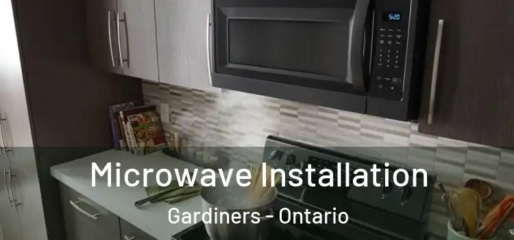 Microwave Installation Gardiners - Ontario