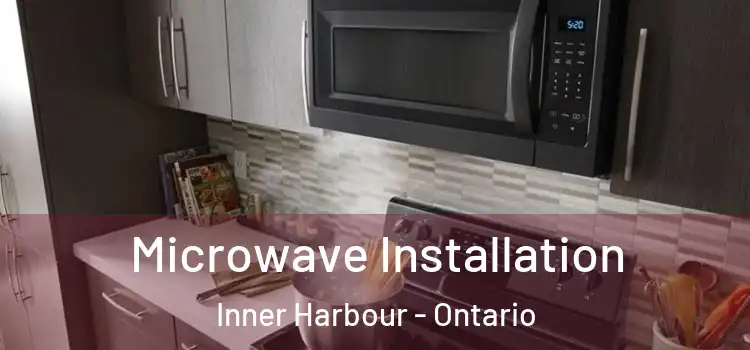 Microwave Installation Inner Harbour - Ontario